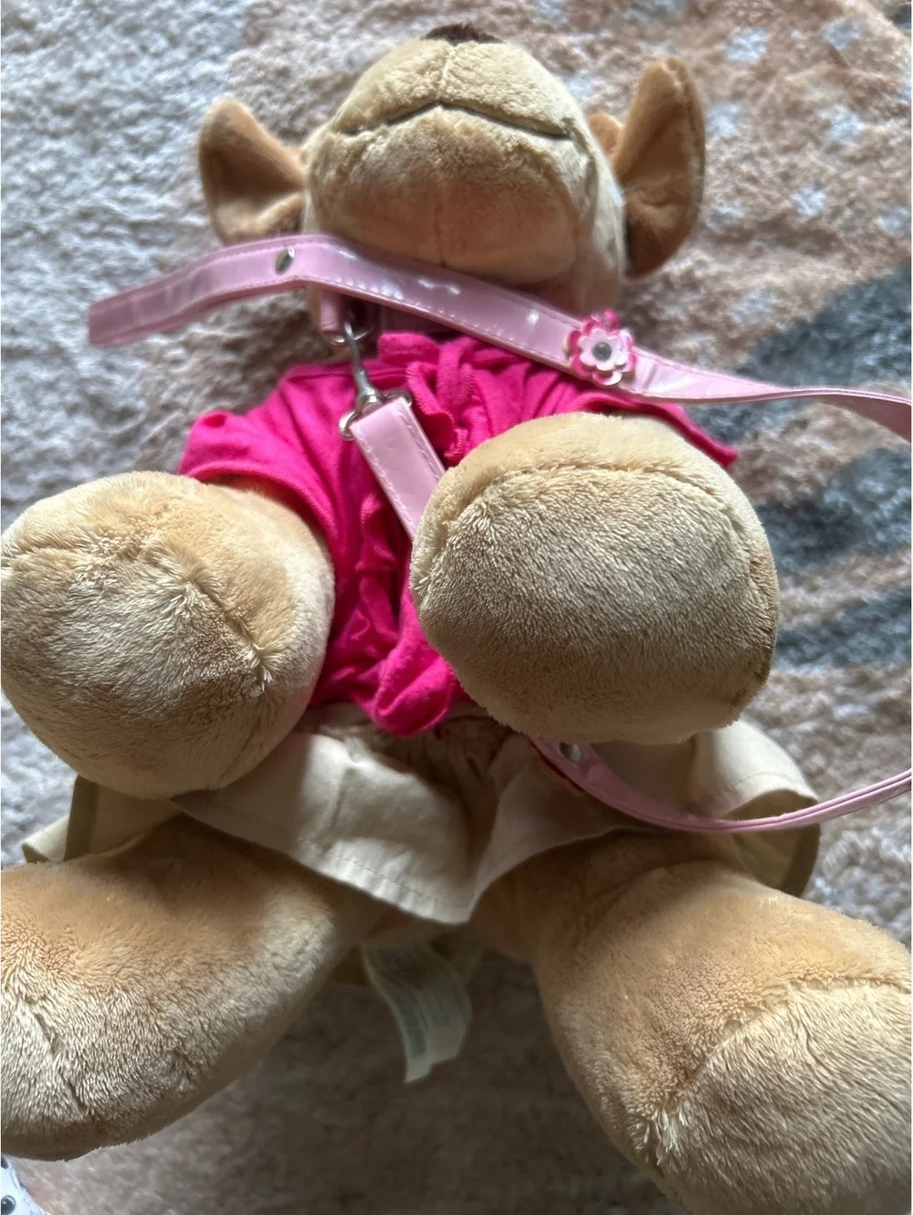 Build a bear puppy with leash